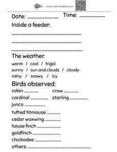 Worksheet for kids - bird feeder observation journal