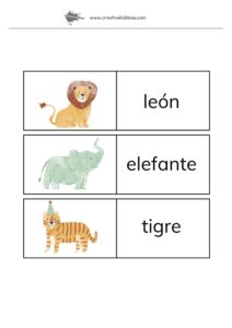Zoo animals in Spanish - pictures and Spanish names of lion, elephant and tiger